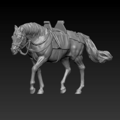 Medieval horse walking